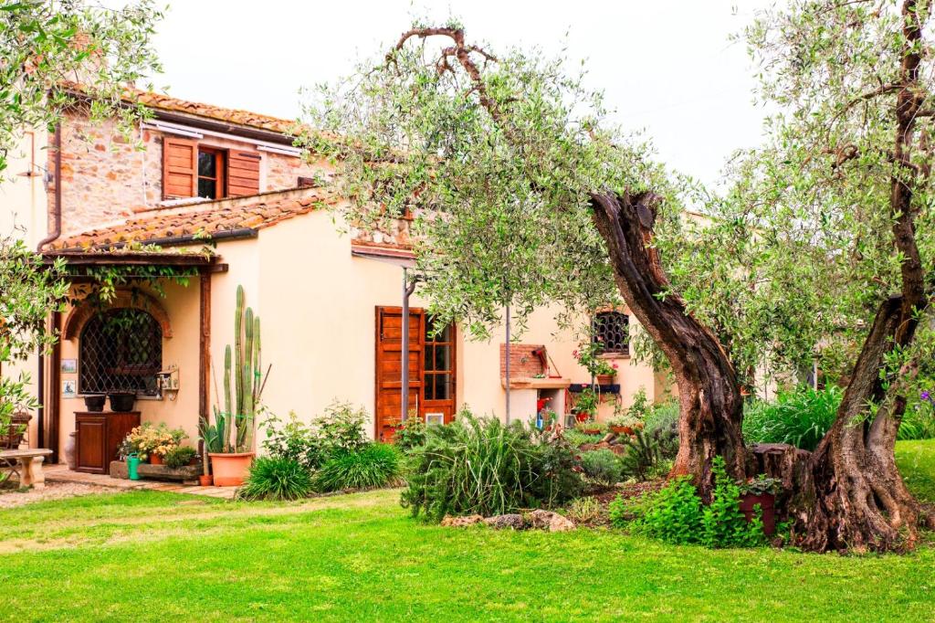 Κήπος έξω από το I Glicini Appartamento