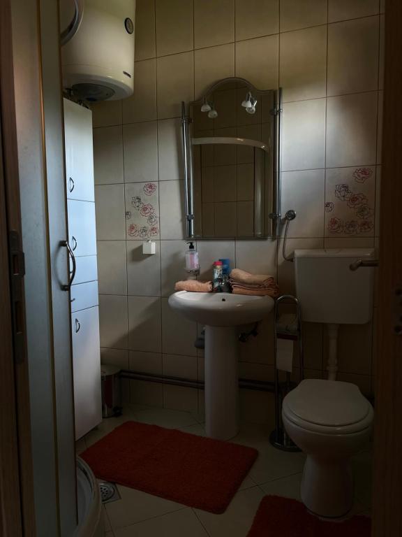 Koupelna v ubytování Apartmani Markovic