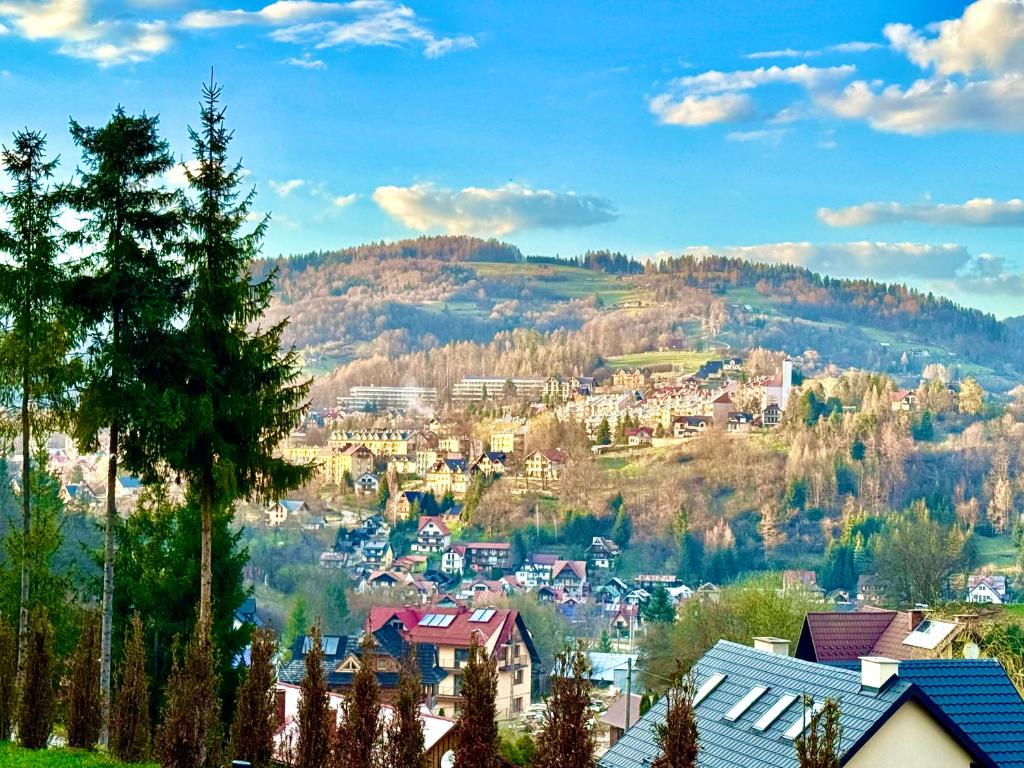 une petite ville sur une colline avec des maisons et des arbres dans l'établissement Villa Szczawnica, à Szczawnica