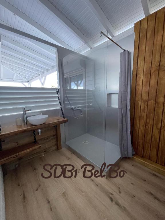 une salle de bain avec une douche en verre et un lavabo dans l'établissement Haut de villa BEL BO & Bas de villa Tibo accès mer, à Deshaies