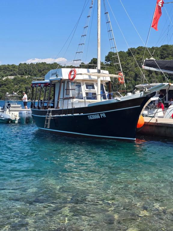 Mirta Tours