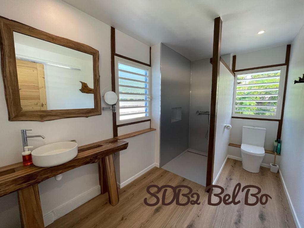 une salle de bain avec un lavabo et une douche dans l'établissement Haut de villa BEL BO & Bas de villa Tibo accès mer, à Deshaies