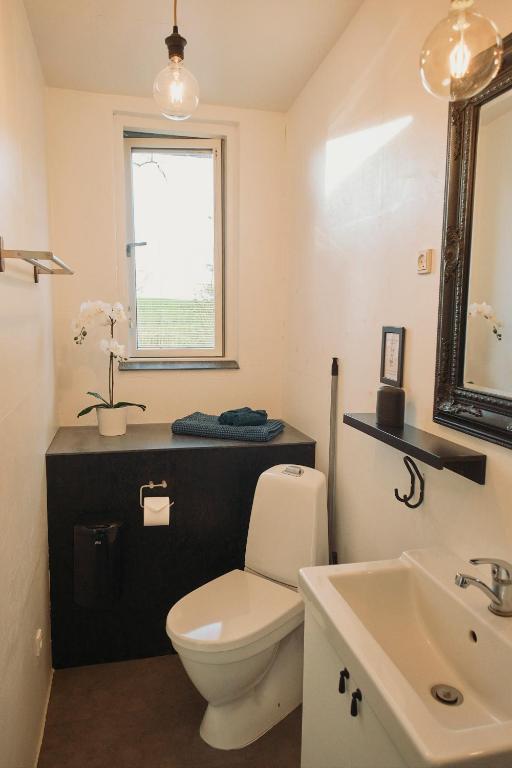 un bagno con un water bianco e un lavandino di Ferieidyl a Kettinge