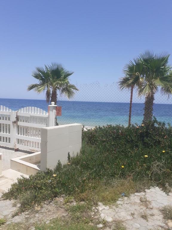 ポート・エルカンタウィにあるStudio dans Résidence pieds dans l'eau à Sousse Zone Kantaouiの海の近くのビーチにある2本のヤシの木
