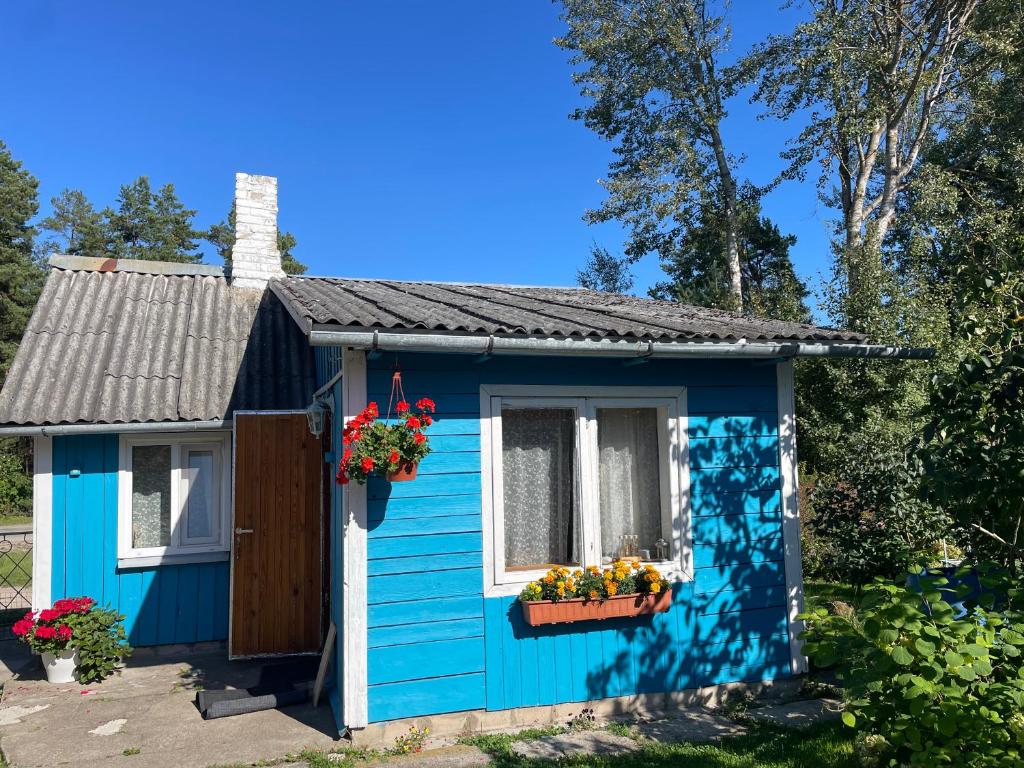 a blue shed with flowers in a yard at Mazsiliņi in Upesgrīva