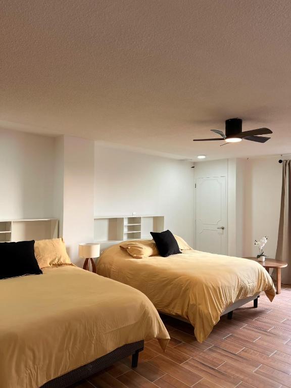 a bedroom with two beds and a ceiling fan at Habitacion Berlin en The Green Door in Aguascalientes