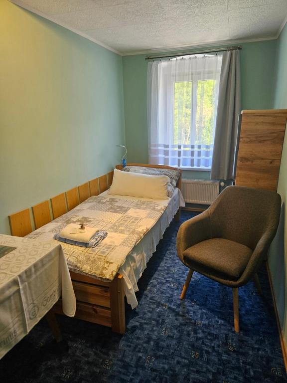 Postel nebo postele na pokoji v ubytování Guest House Pod Lesem Merklín
