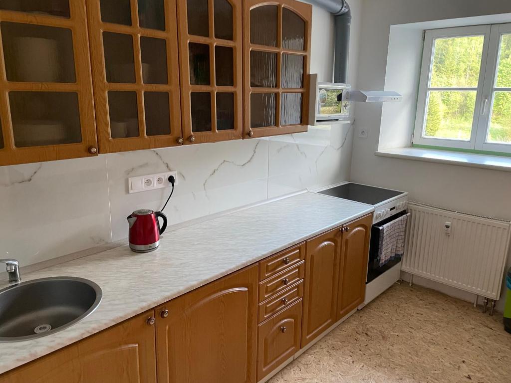 Kuchyň nebo kuchyňský kout v ubytování Apartmány J L A