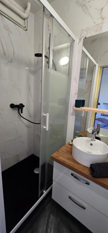 Appartement avec jardin à Colmar - 13