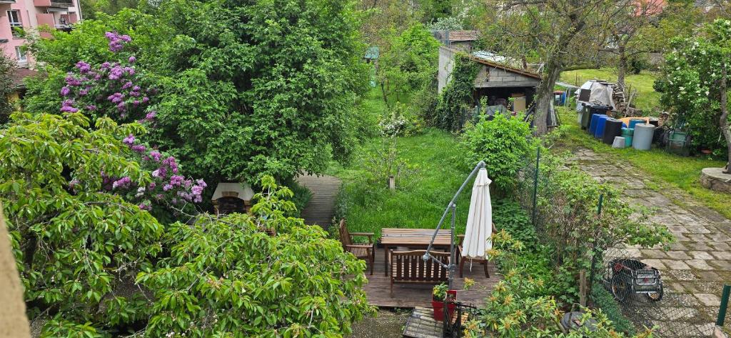 Appartement avec jardin à Colmar - 14