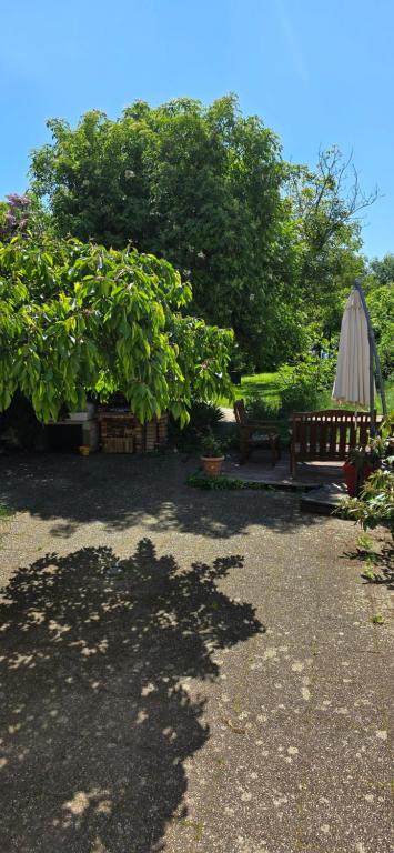 Appartement avec jardin à Colmar - 16