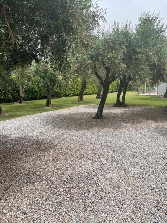 Zahrada ubytování In Versilia