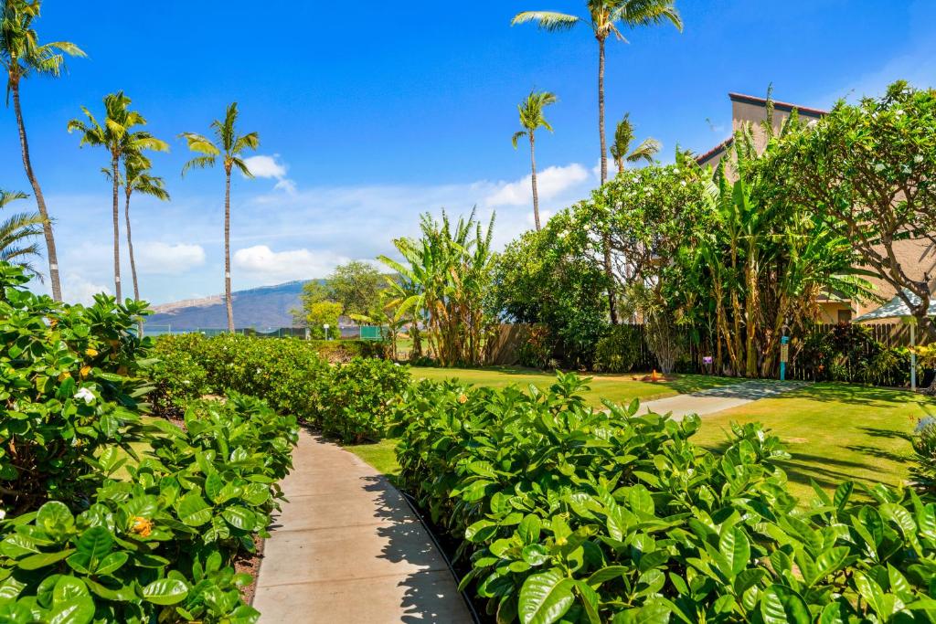 Zahrada ubytování Maui Schooner Resort
