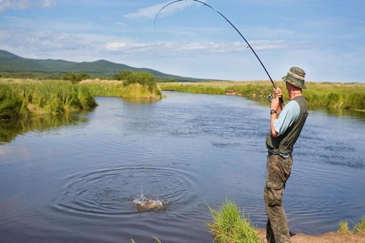 Przyroda w pobliżu tego domu wakacyjnego