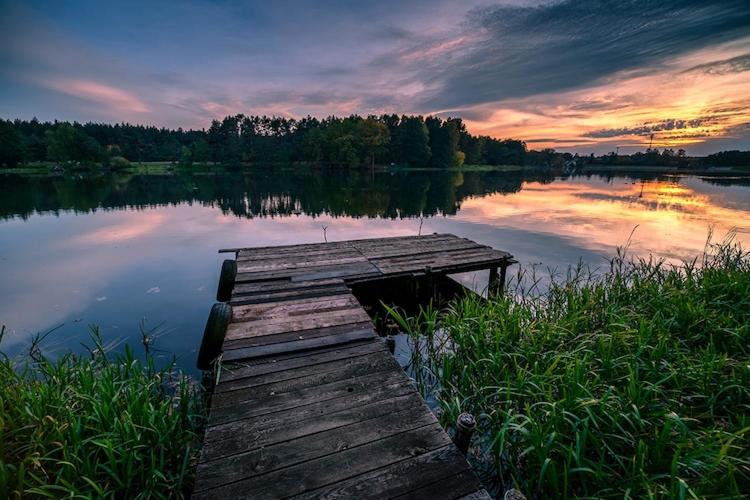 Przyroda w pobliżu tego domu wakacyjnego