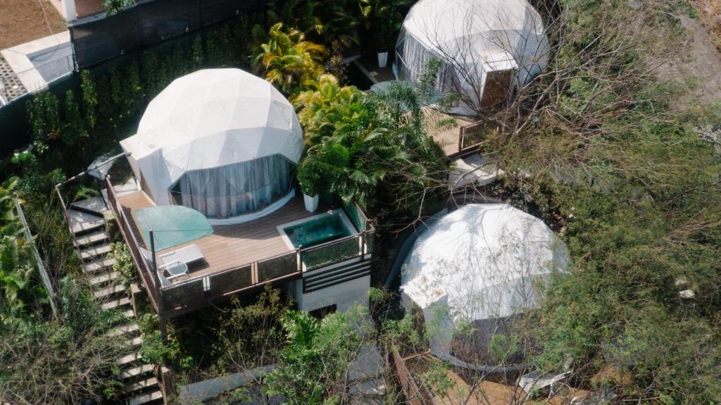 Zahrada ubytování Glamping Tortuga Verde