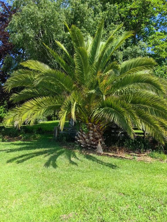 Cozy 1 ?????? - Resim 11