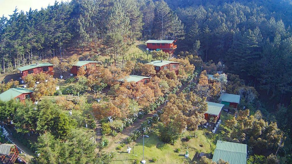 a group of houses on a hill with trees at Alla Arriba in Las Cruces