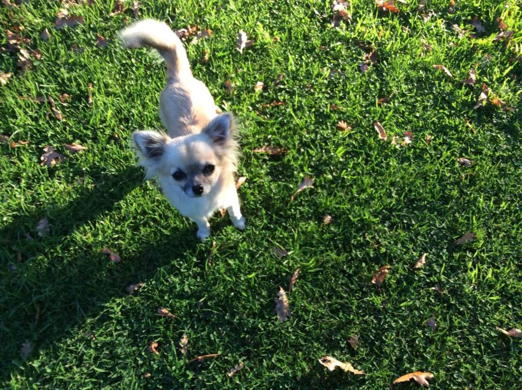 Cozy 1 ?????? - Resim 17