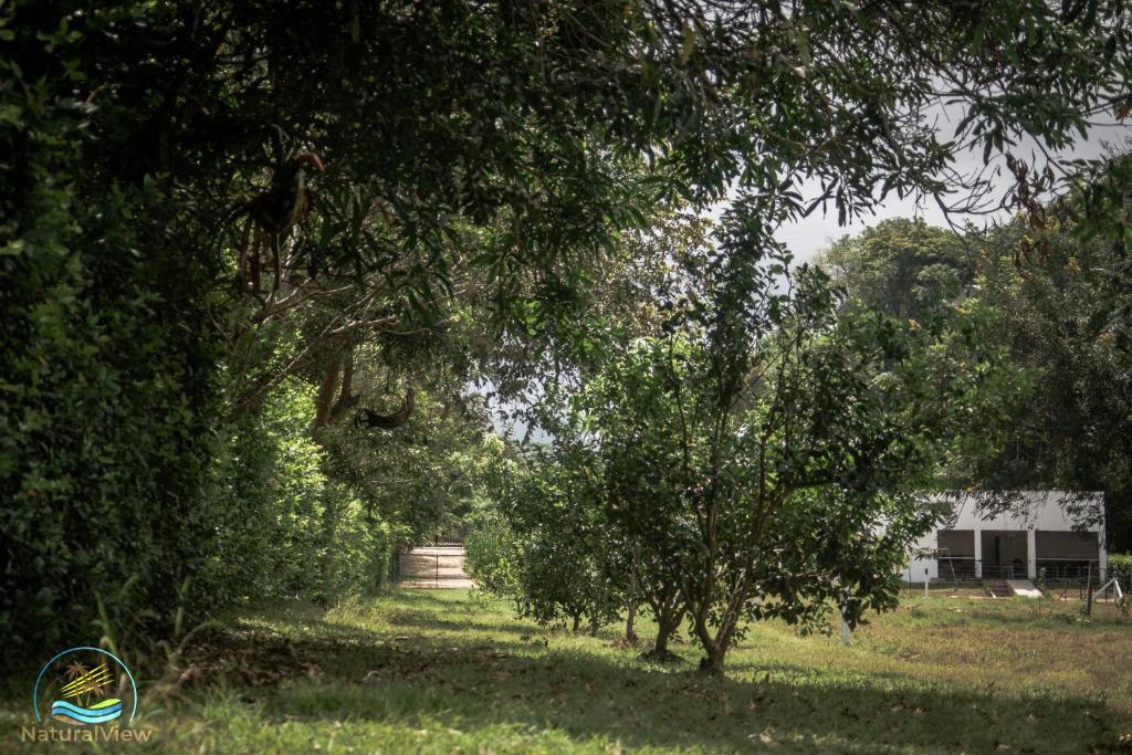 Zahrada ubytování Natural View Resorts Melgar