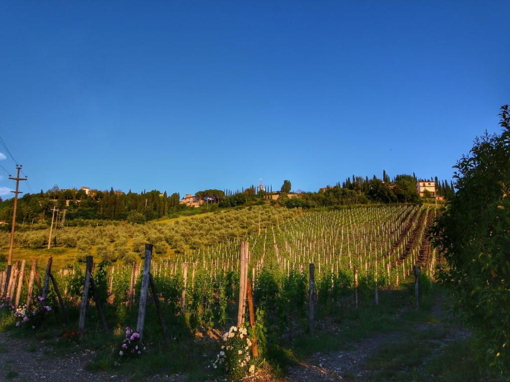 Zahrada ubytování Farmhouse in Tuscany with Pool and Organic Garden