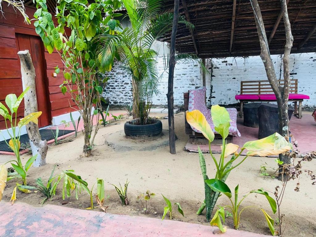 Zahrada ubytování Lemon Tree Hostel Arugambay
