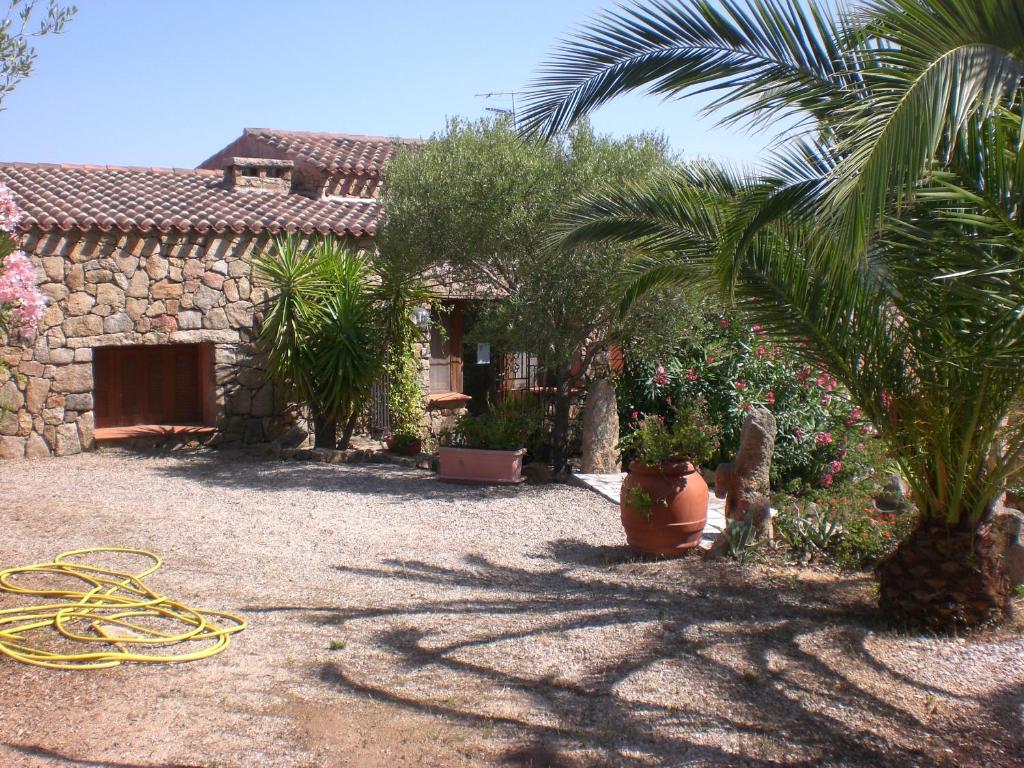 un patio con una casa con una palmera y una manguera en Hotel Turismo Rurale Montitundu, en Marina di Portisco