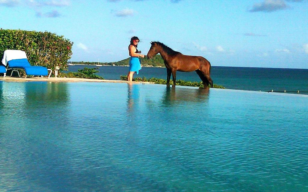 Blue Horizon Boutique Resort photo