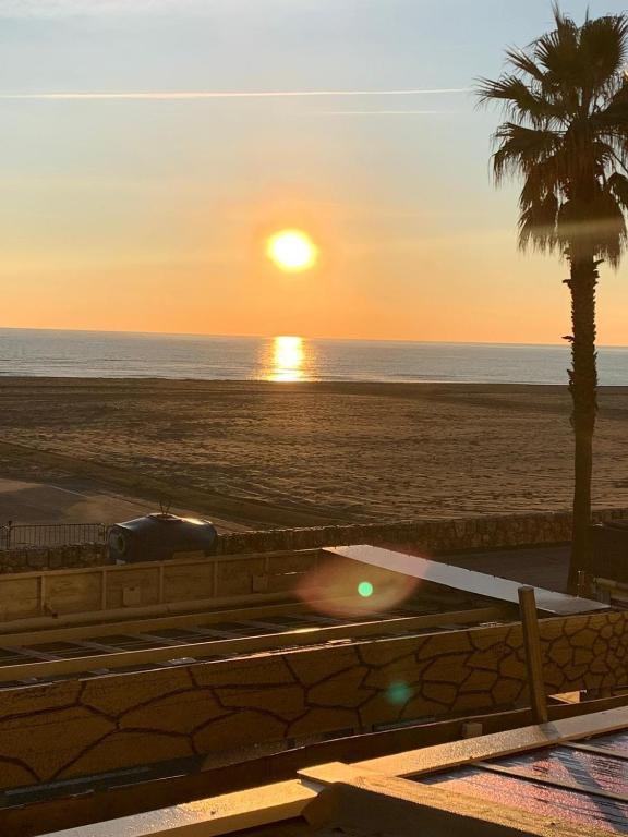 - un coucher de soleil sur la plage avec un palmier dans l'établissement Une vue à couper le souffle, à Canet