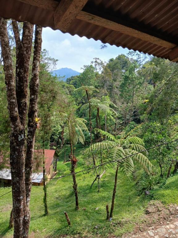 Finca Elvira, cozy cabin