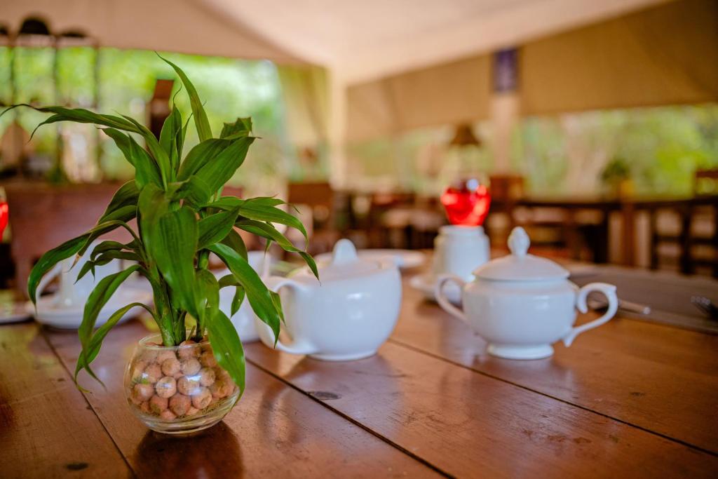 Restaurace v ubytování Lowin Yala