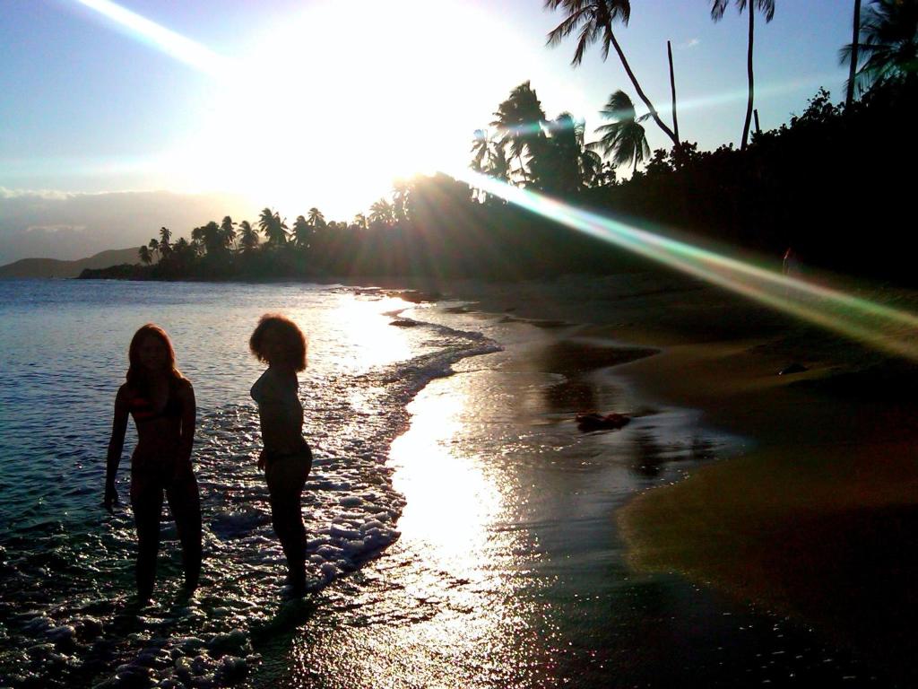Blue Horizon Boutique Resort photo