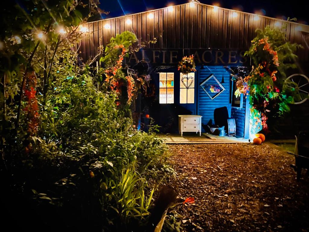 a blue shed with a sign that reads home depot at Spacious Cabin with Private Hot Tub, and Private Pool, in 5 Acres - intimate Special stay For 2 Adults - plus 1 child under 2 and up to 2 dogs stay for free in Downham
