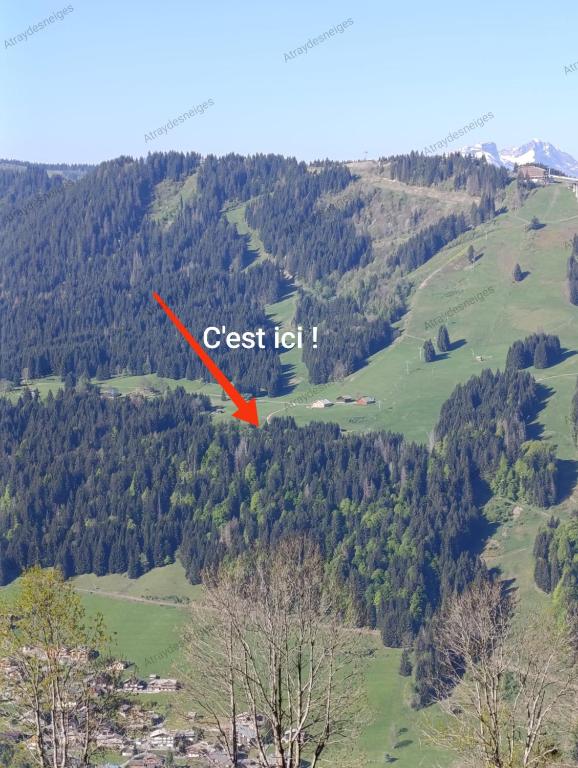 un oiseau rouge volant au-dessus d'une colline verdoyante dans l'établissement Chalet d alpage en montagne L Atray Des Neiges 3 étoiles multipass gratuit, à Morzine