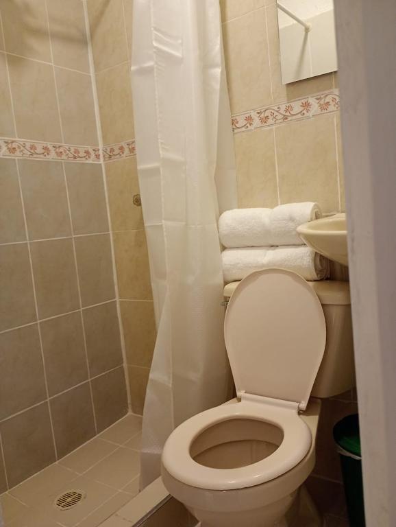 Koupelna v ubytování Hotel Aerocafe Pereira
