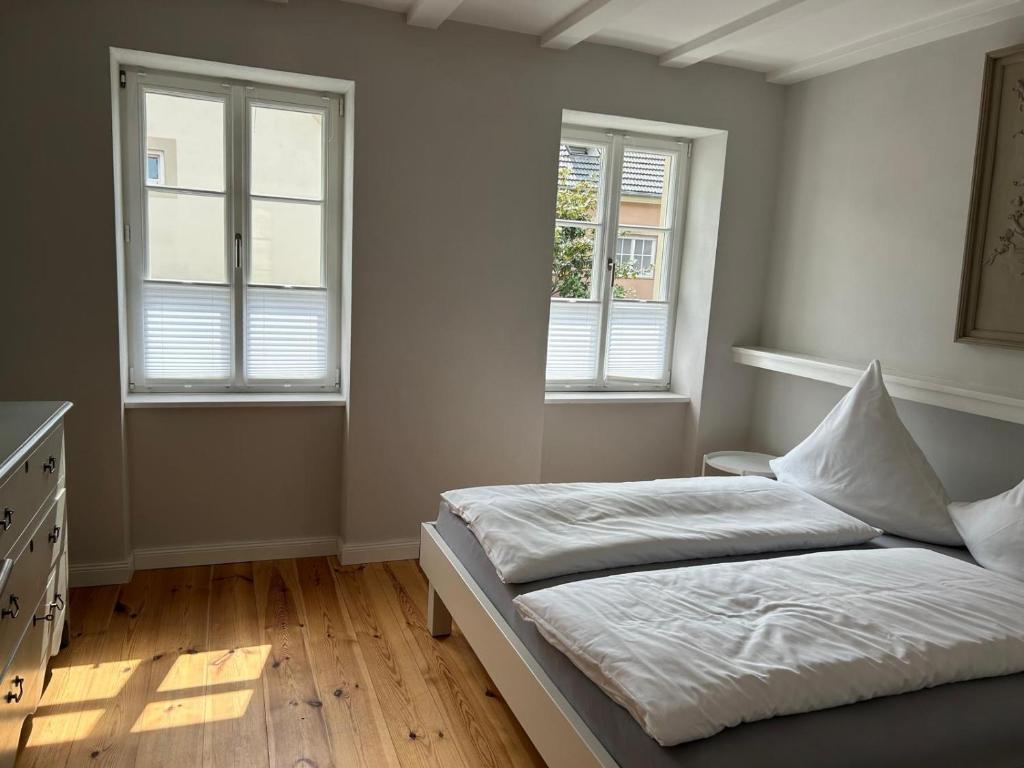 a bedroom with a bed and two windows at gemütliches Ferienhaus nahe Trier in Wasserliesch