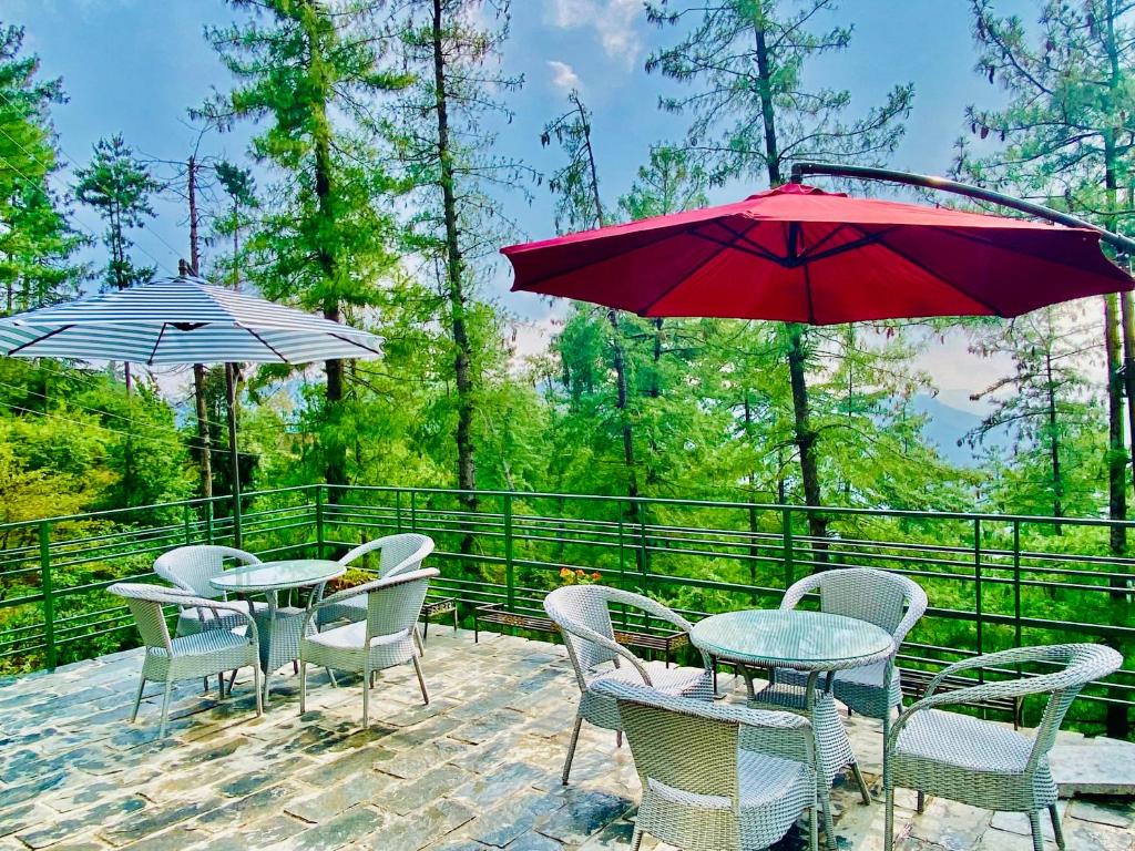 Příroda nedaleko hotelu