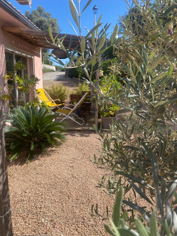 un jardin avec des plantes devant une maison dans l'établissement Appart Sylvie B, à Porto-Vecchio