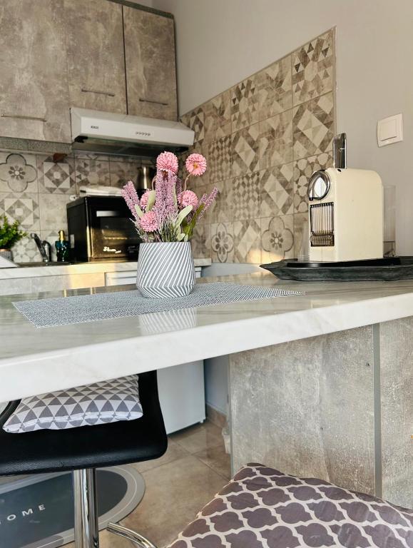 Kuchyň nebo kuchyňský kout v ubytování Luxus Wohnung for 2