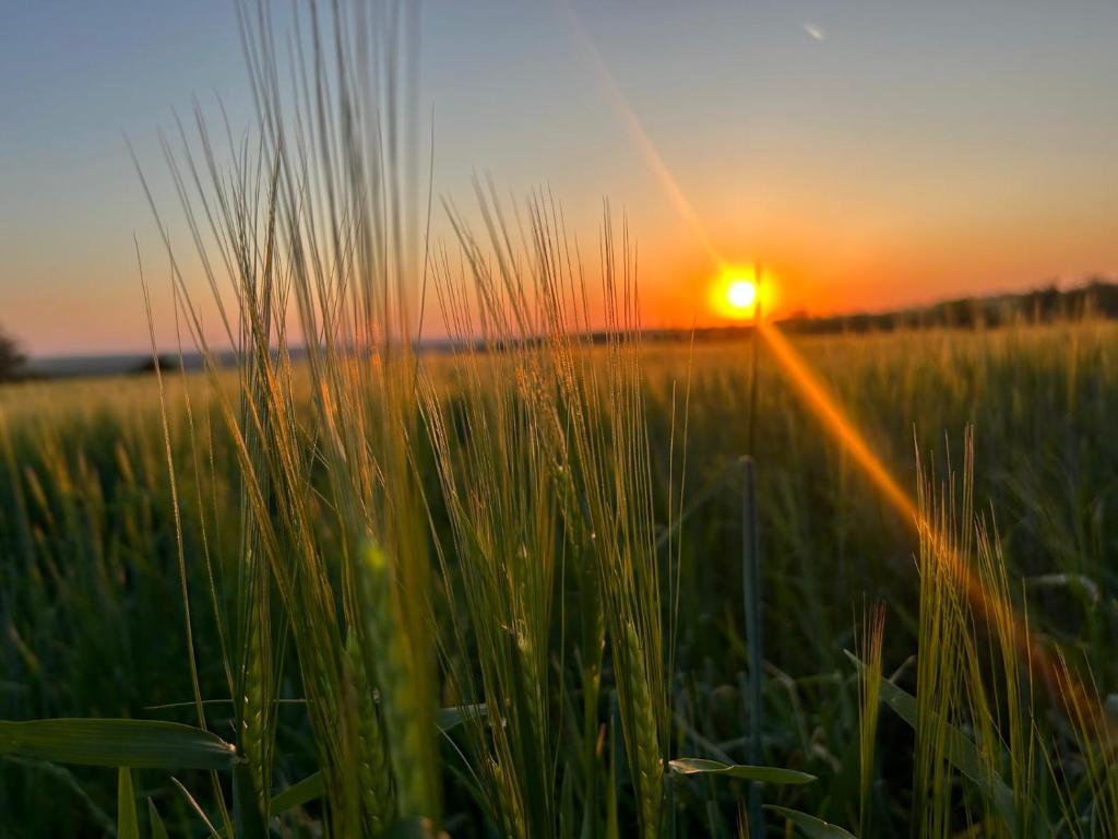 Η ανατολή ή δύση του ηλίου όπως φαίνεται από αυτό το διαμέρισμα ή από εκεί κοντά