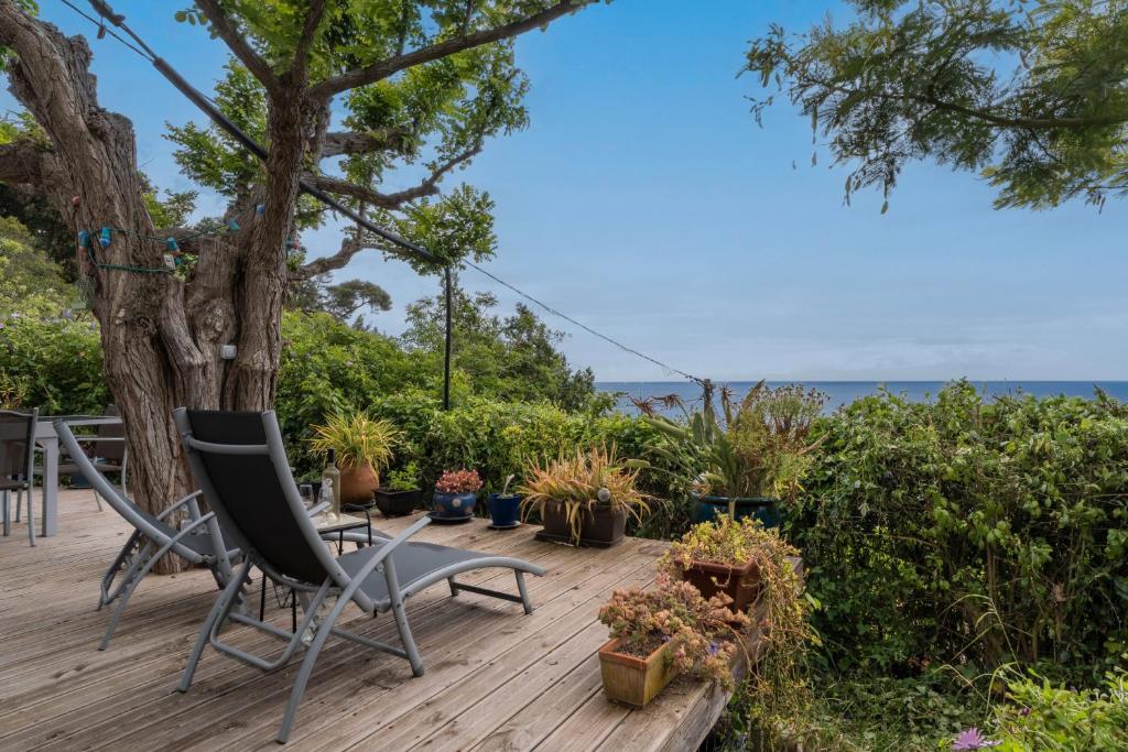 une terrasse avec des chaises, des plantes en pot et un arbre dans l'établissement Le Refuge Marin, au Pradet