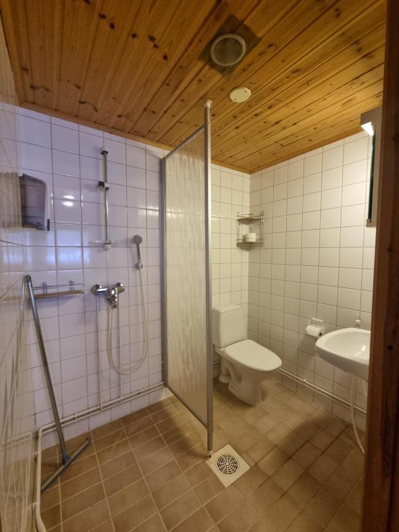a bathroom with a toilet and a shower and a sink at Kaamasen Kievari in Kaamanen