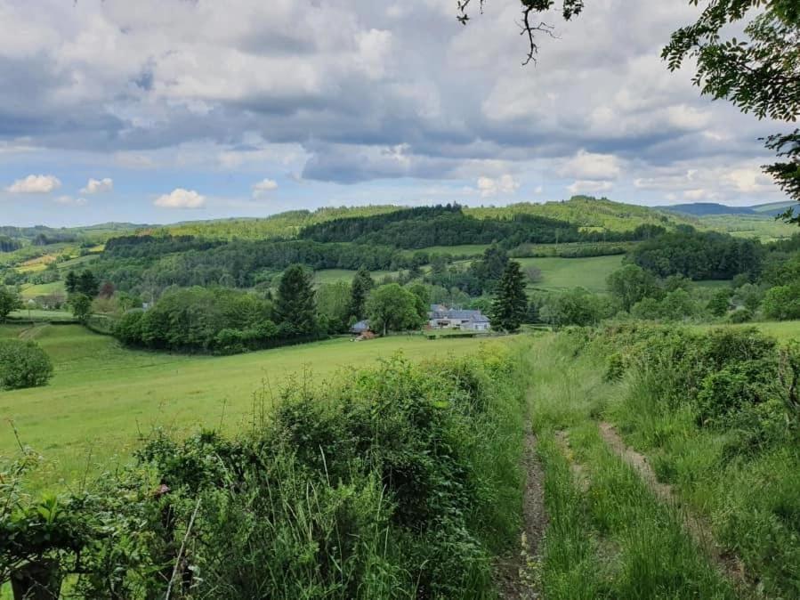- une vue sur un champ verdoyant avec une maison au loin dans l'établissement Gîte MTB Morvan voor fiets en natuurliefhebbers, à Cussy-en-Morvan