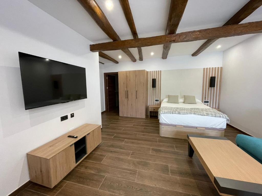 オスピタル・デ・オルビゴにあるSEVIHOUSE Casa Vicenteのベッド、テレビ、ソファのある寝室