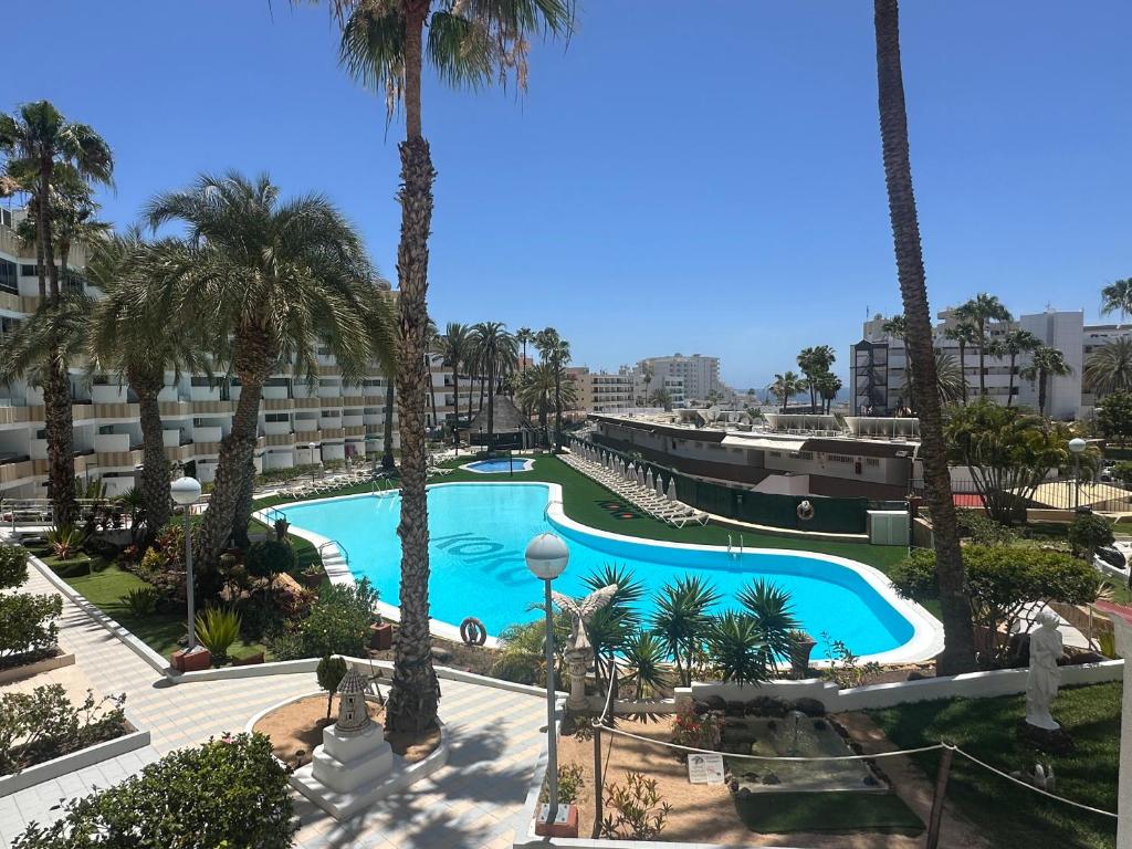 a view of a swimming pool with palm trees at Koka Beach in Playa del Ingles