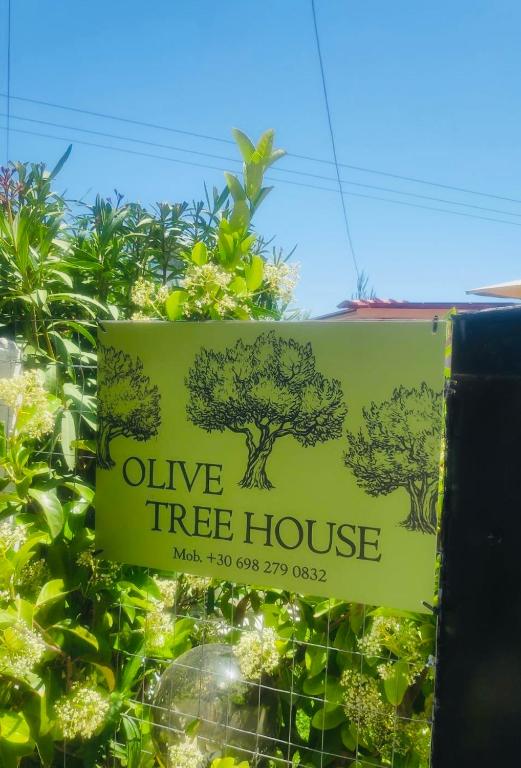 Certifikát, hodnocení, plakát nebo jiný dokument vystavený v ubytování Olive TreeHouse