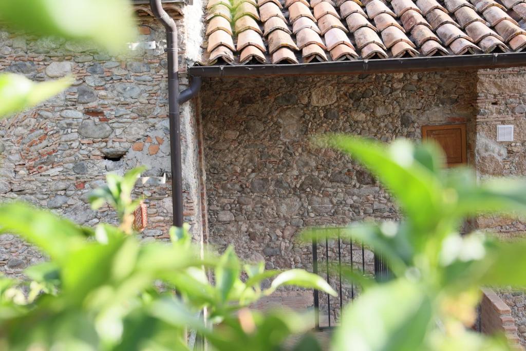 Zahrada ubytování B&B Italia Rende