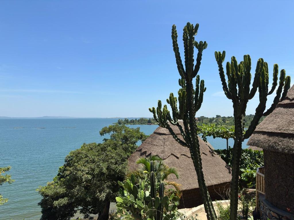 a view of the ocean from a resort with cactus at Mountain Inn Resort in Buikwe