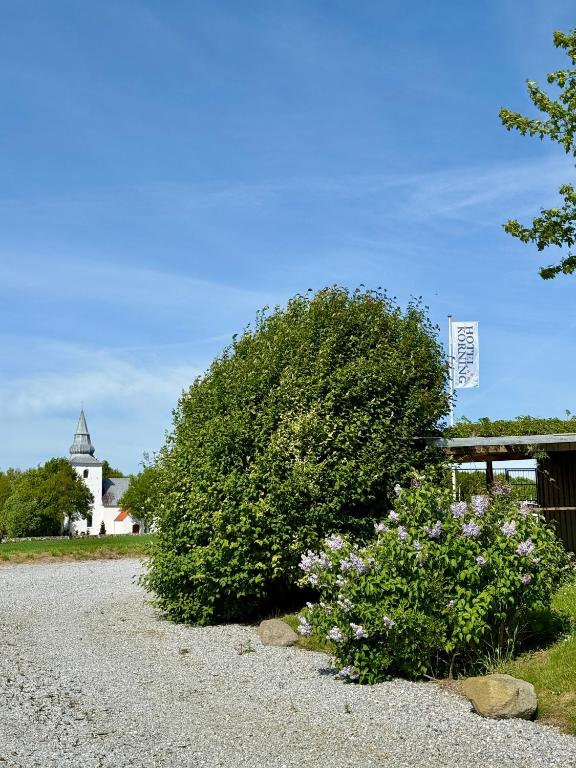 Zahrada ubytování Hotel Korning