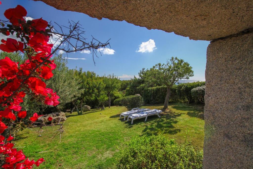 Κήπος έξω από το Casa 1